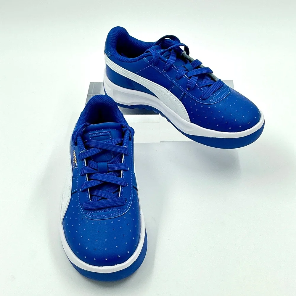 Puma brand model